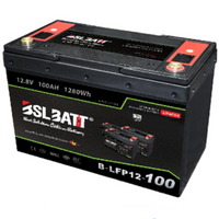 B-LFP12-100 12V 100Ah Lithium Battery